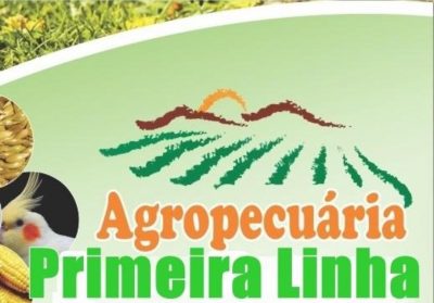 AGROPECUÁRIA PRIMEIRA LINHA &#8211; VENDA DE COELHO MINI EM CRICIÚMA