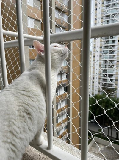 REDES DE PROTEÇÃO SP – REDES DE PROTEÇÃO EM MOEMA EM SÃO PAULO -SP