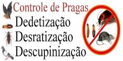 RATINTOX DESENTUPIDORA E DEDETIZADORA – DEDETIZAÇÃO DE ESCORPIÕES NA ASA SUL EM BRASÍLIA